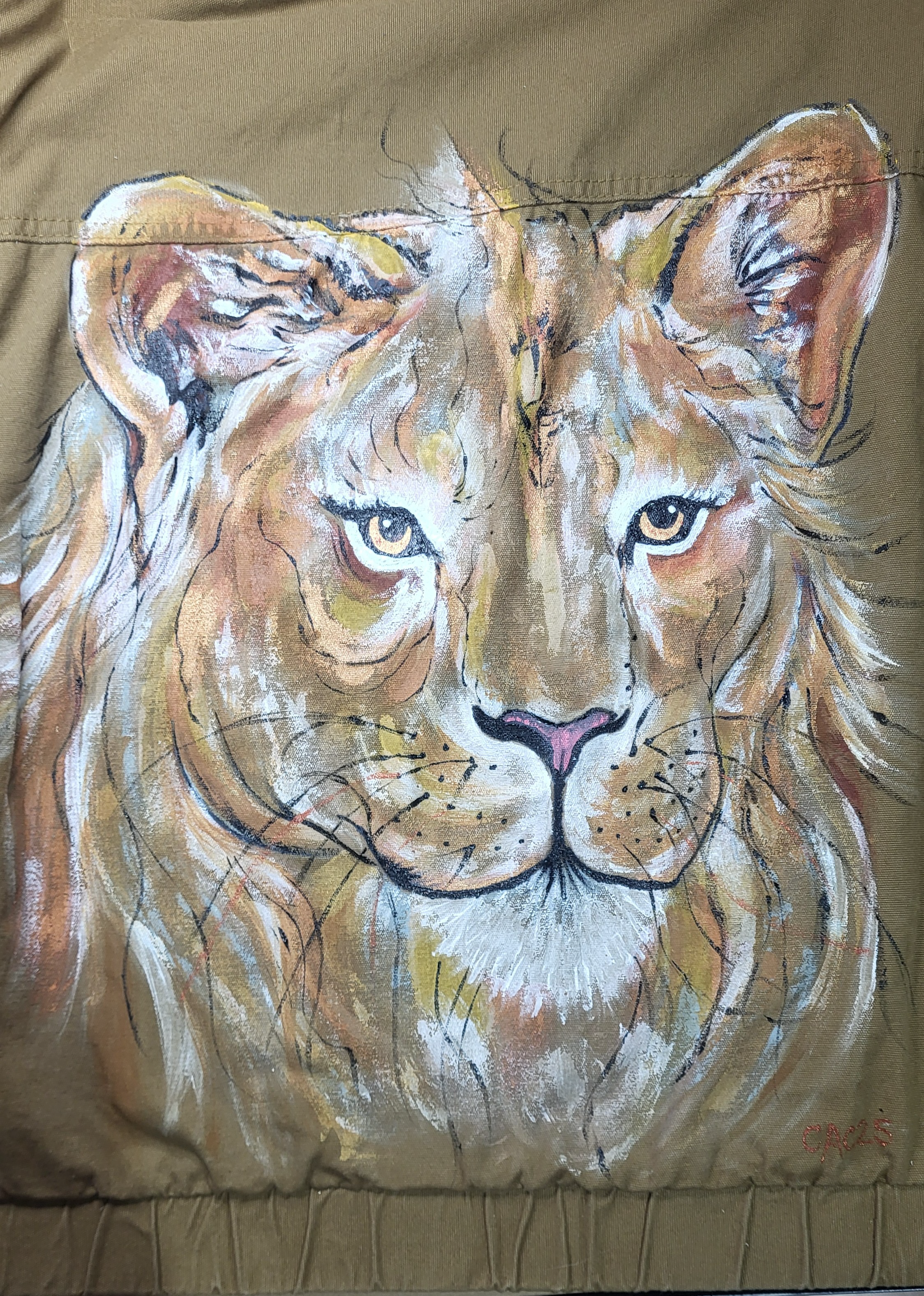 Lioness